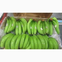 Бананы из Доминиканской Республики и Эквадора Оптом