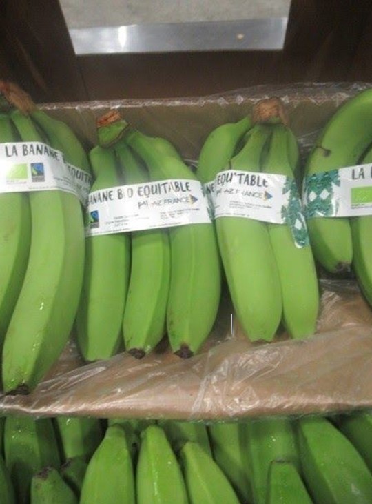 Фото 2. Бананы из Доминиканской Республики и Эквадора Оптом