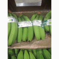 Бананы из Доминиканской Республики и Эквадора Оптом