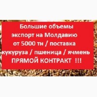 ЭКСПОРТ на Молдову = Пшеница = Ячмень = Кукуруза