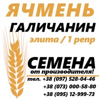 Семена ярового ячменя Галичанин от производителя (Отдел реализации - тел. О73 ООО 58 8О)