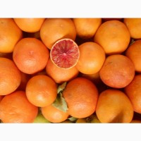 Продаю Апельсини Пакистан без посередників
