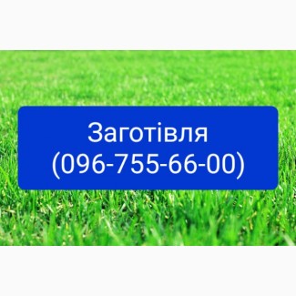 Купуємо ВРХ по всій Вінницькій області