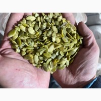 Продам гарбузове насіння високої якості