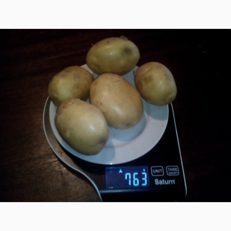 Фото 5. Продаем картофель урожай 2022 года
