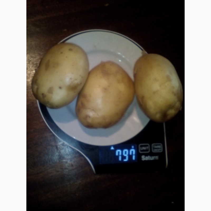Фото 6. Продаем картофель урожай 2022 года