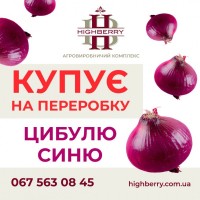 Купує цибулю синю оптом