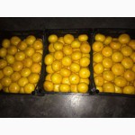 Продам мандарины опт сорт грузинские и турецкие