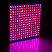 Фитолампа светильник 45Вт синий и красный спектр