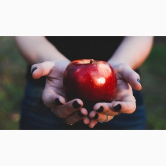 Продам яблука гуртом із власного саду по доступній ціні