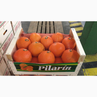 Мандарины и апельсины из Испании. Прямые поставки