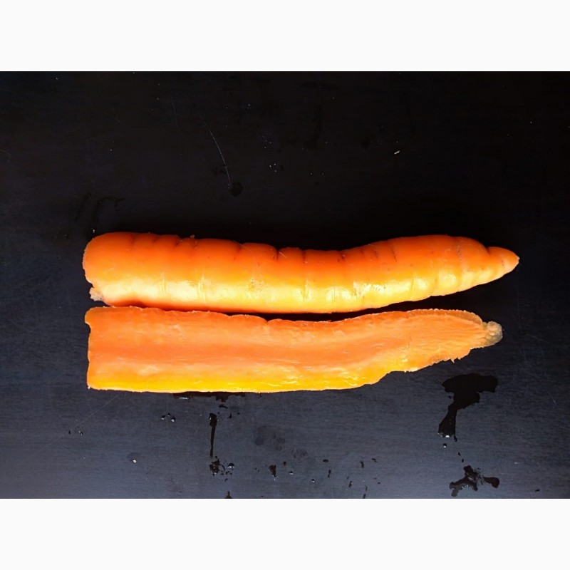 Фото 2. Морковка для производства снеков