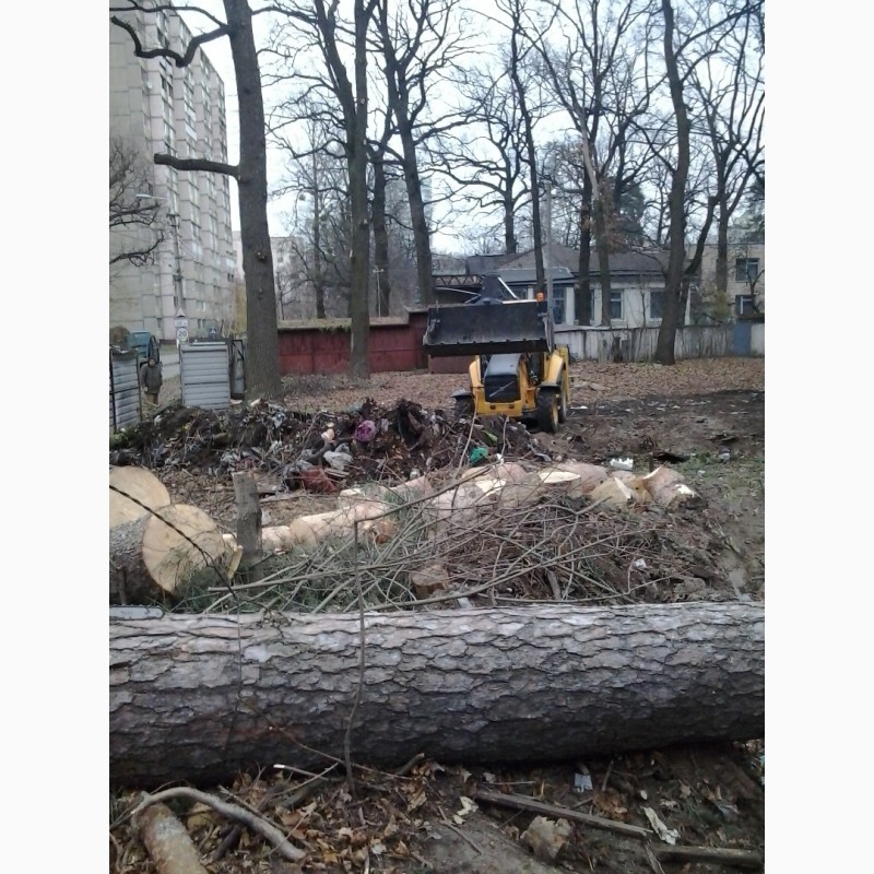 Фото 2. Зрізання обрізка дерев Подрібнення гілок Розчищення ділянок Демонтаж
