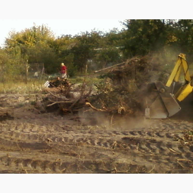 Фото 9. Зрізання обрізка дерев Подрібнення гілок Розчищення ділянок Демонтаж