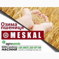 Распродажа до 10 / 07 - Семена озимой пшеницы от производителя! Сорт Лира (элита)