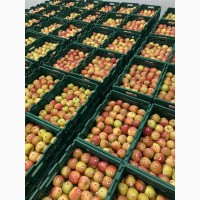Продам ІДЕАЛЬНІ яблука з саду врожаю 2022