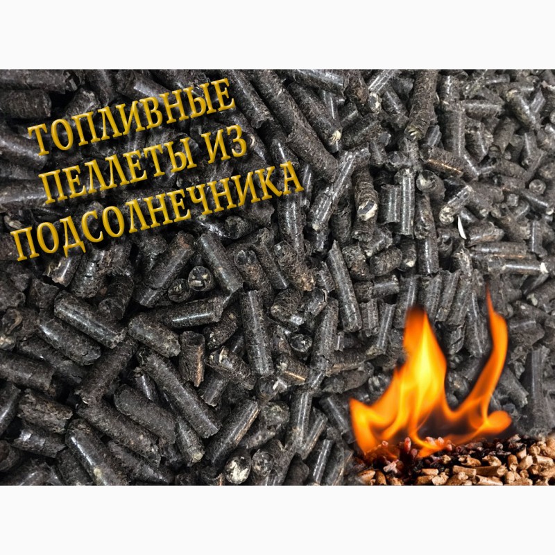 Фото 6. Пеллеты топливные из подсолнечника купить в Харькове
