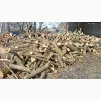 Твердопородні дрова (метровка та колоті) Договірна ціна