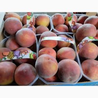 Продаю кісточкові фрукти грецького походження оптом, для українських імпортерів