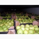 Яблоки из Польши - продажа