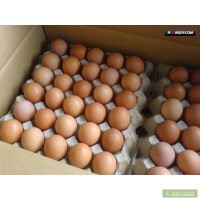 Продам инкубационное яйцо бройлерное