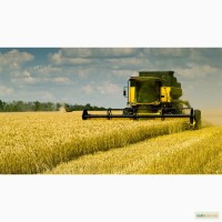 Уборка урожая зерновых, Запорожская Область