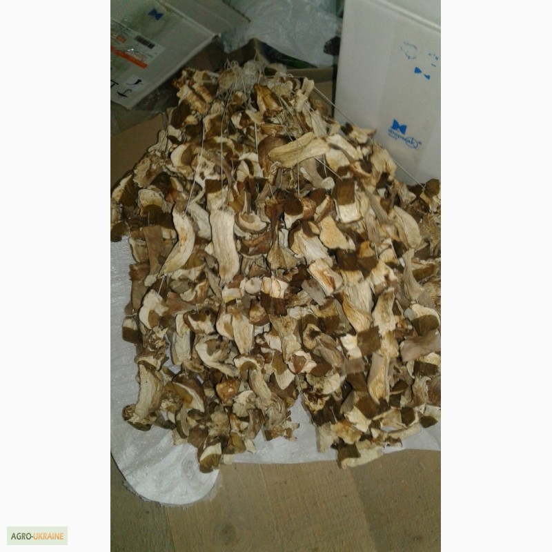 Фото 7. Продам сушеные белые грибы хорошего качества, цена указана за килограм