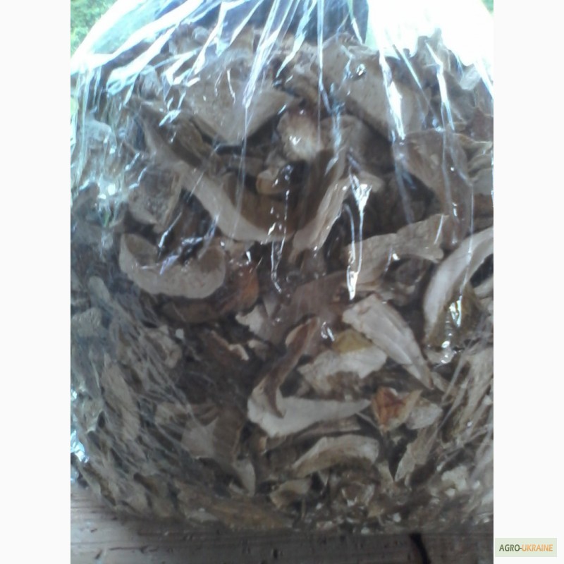Фото 8. Продам сушеные белые грибы хорошего качества, цена указана за килограм