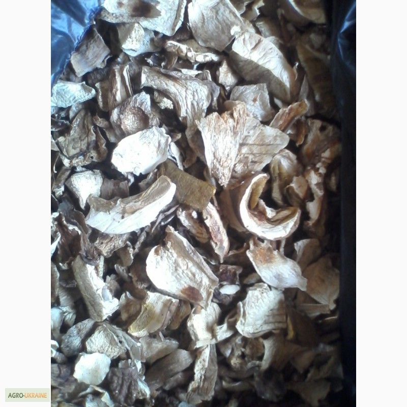 Фото 9. Продам сушеные белые грибы хорошего качества, цена указана за килограм
