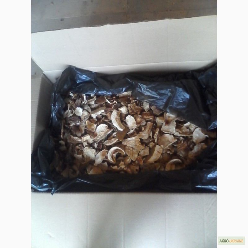 Фото 10. Продам сушеные белые грибы хорошего качества, цена указана за килограм