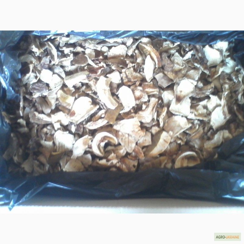 Фото 12. Продам сушеные белые грибы хорошего качества, цена указана за килограм