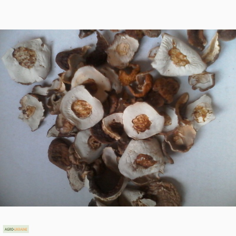 Фото 13. Продам сушеные белые грибы хорошего качества, цена указана за килограм