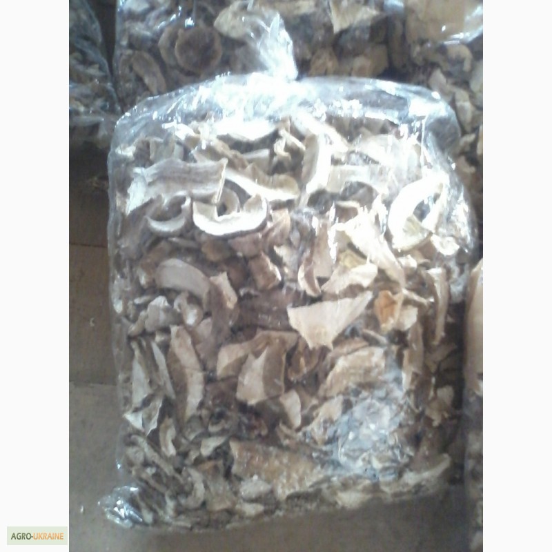Фото 14. Продам сушеные белые грибы хорошего качества, цена указана за килограм