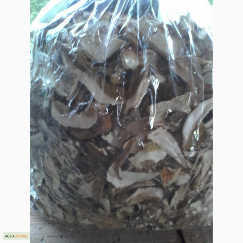 Фото 15. Продам сушеные белые грибы хорошего качества, цена указана за килограм