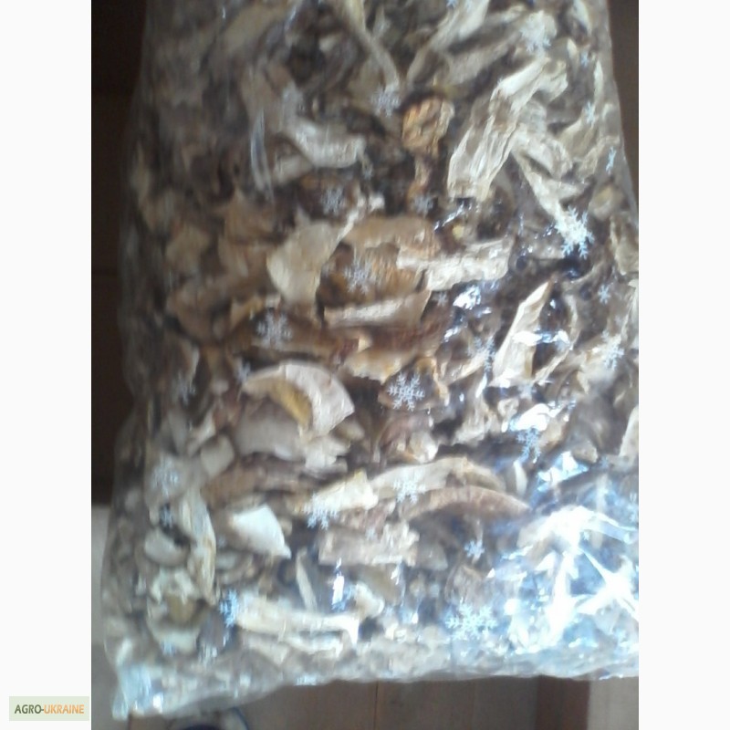 Фото 16. Продам сушеные белые грибы хорошего качества, цена указана за килограм