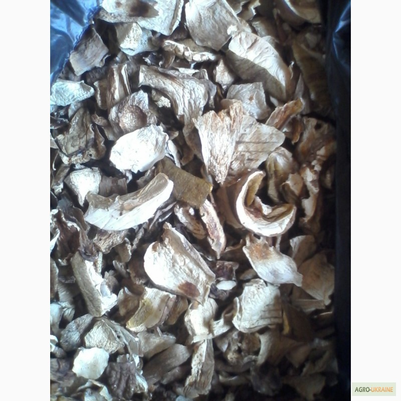 Фото 17. Продам сушеные белые грибы хорошего качества, цена указана за килограм