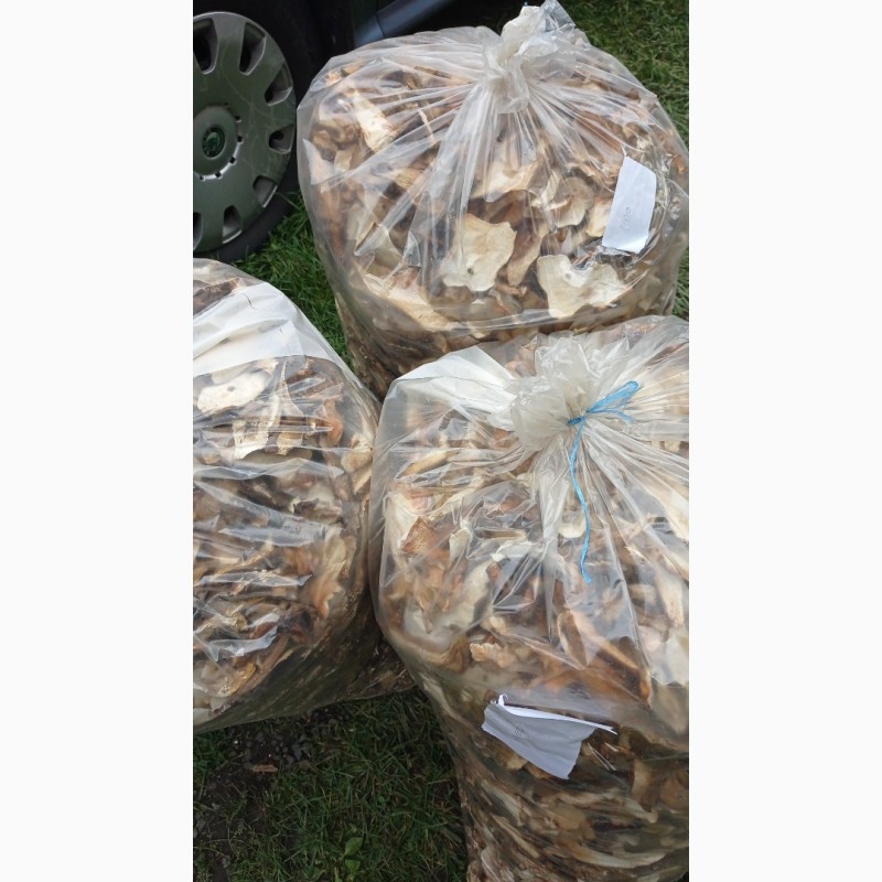 Фото 19. Продам сушеные белые грибы хорошего качества, цена указана за килограм