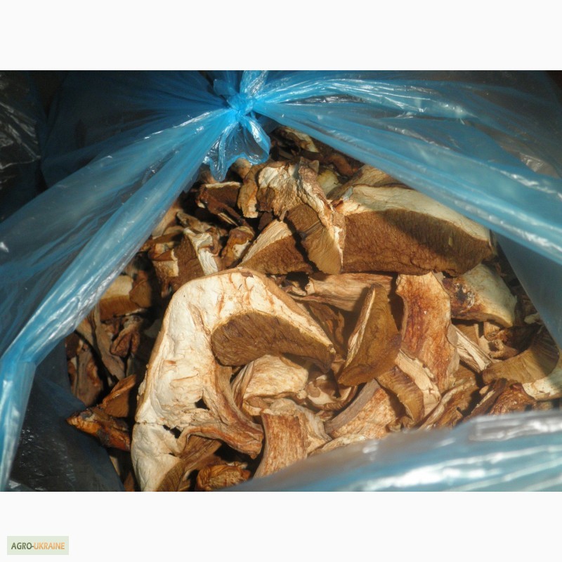 Фото 3. Продам сушеные белые грибы хорошего качества, цена указана за килограм