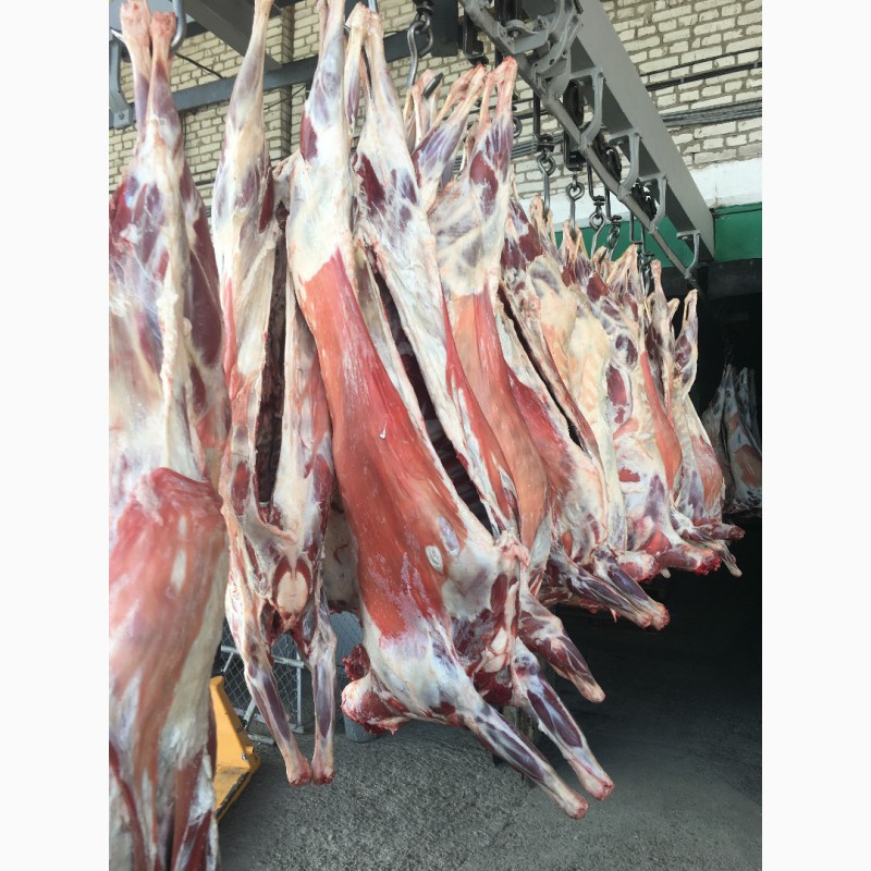 Фото 2. Halal Meat Lamb Mutton for export