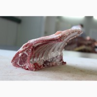 Halal Meat Lamb Mutton for export
