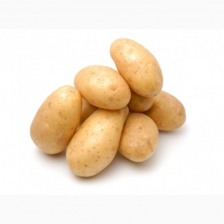 Закупаю молодую картошку крупным и мелким оптом ежедневно