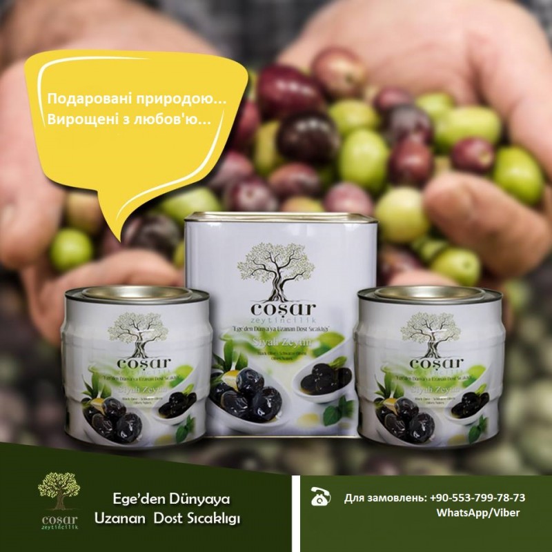 Фото 2. Фабрика из Турции ищет импортеров - оливки от ТМ Cosar Olive Turkey