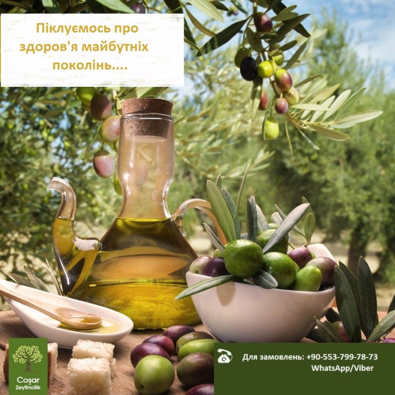 Фото 3. Фабрика из Турции ищет импортеров - оливки от ТМ Cosar Olive Turkey