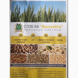 Продам насіння зернових, Кіровоградська область