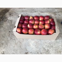 Продаємо яблука ОПТОМ від 2 т