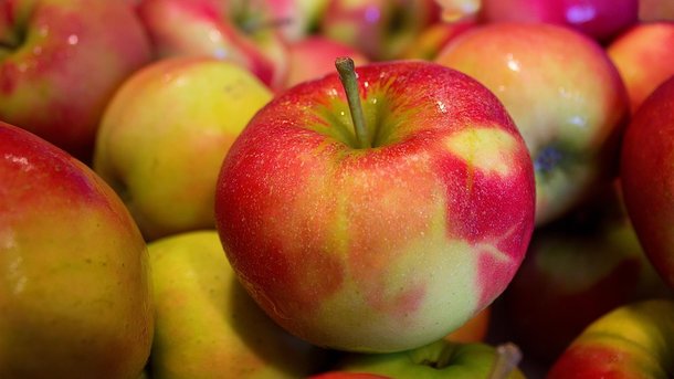 Фото 4. Продам якісні сортові яблука оптом
