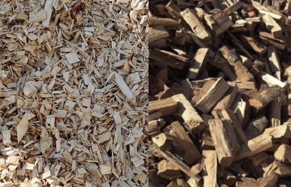 Продаємо дрова та щепу хвойних порід деревини для опалення — Agro-Ukraine