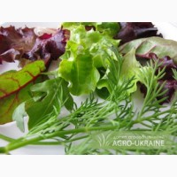 Линии зеленых салатов, салатные линии, смеси зелени, увязывание пучков зелени Германия