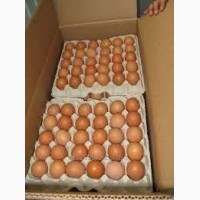 Яйцо куриное оптовый продажа осуществляем доставку