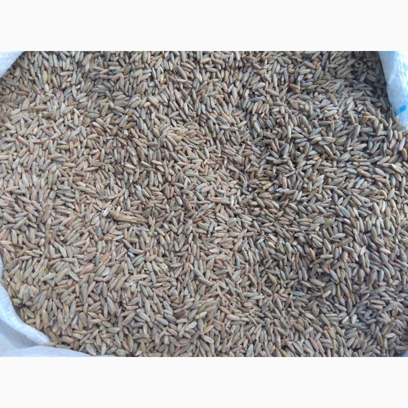 Фото 2. Продам пшеницю, жито солому